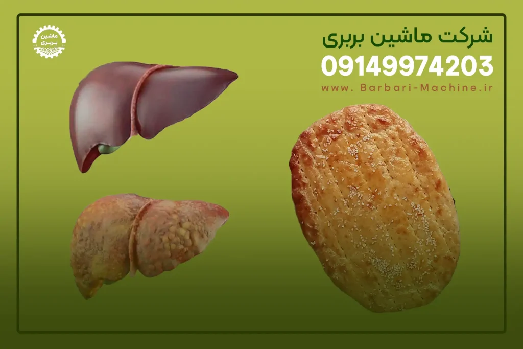 آیا نان بربری برای کبد چرب مضر است؟ بهترین نان برای کبد چرب 1403