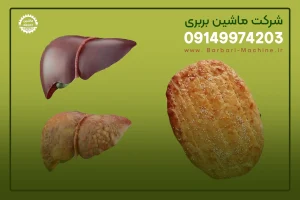 آیا نان بربری برای کبد چرب مضر است؟ بهترین نان برای کبد چرب 1403